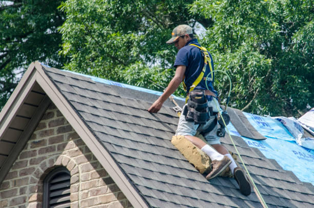 Best Storm Damage Roof Repair  in Cowan, TN